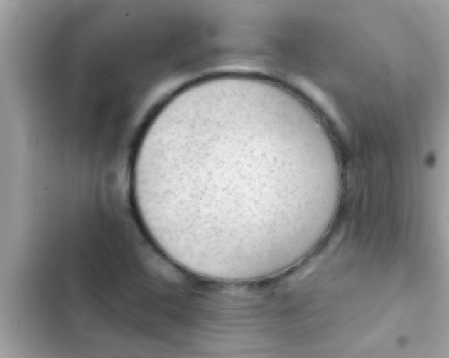 X0000102391408200808151910