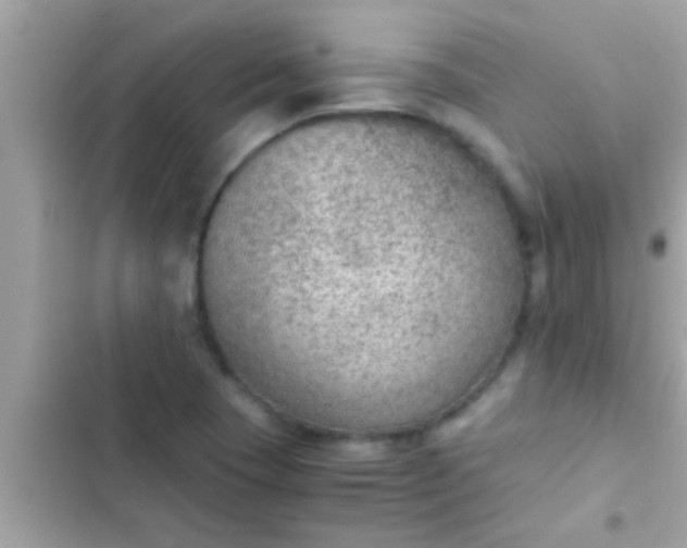 X0000102391409200808151910