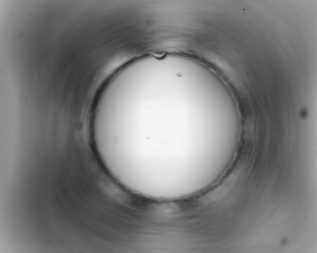 X0000102391410200808151910