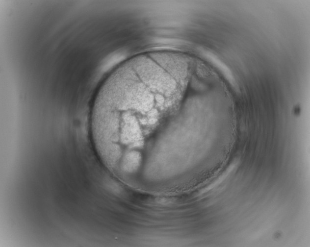 X0000102391411200808151910