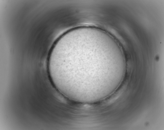 X0000102391412200808151910