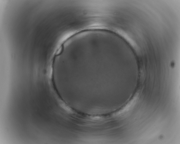 X0000102391413200808151910