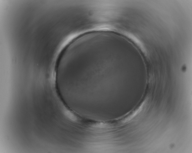 X0000102391414200808151910