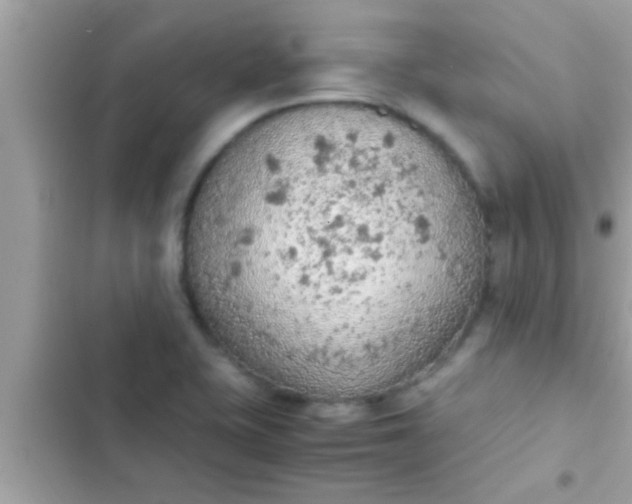 X0000102391415200808151910