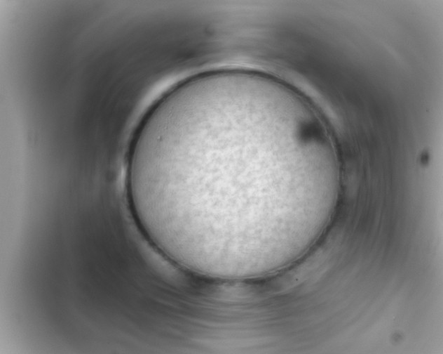 X0000102391416200808151910