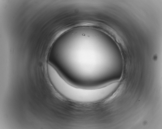 X0000102391417200808151910