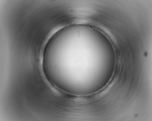 X0000102391418200808151910