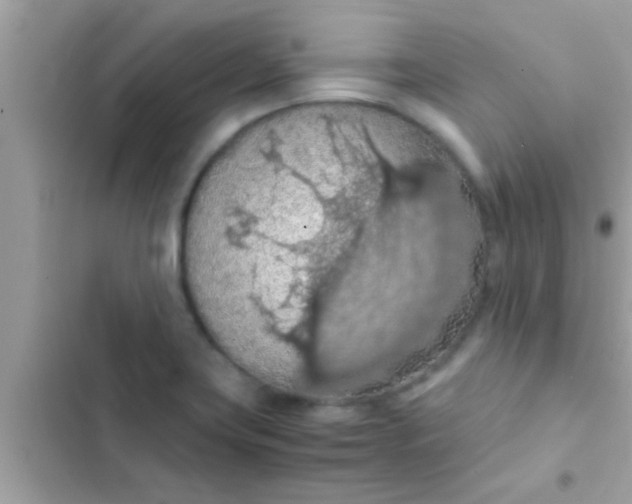 X0000102391419200808151910