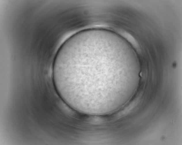 X0000102391420200808151910