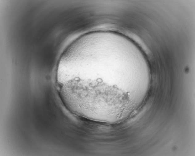 X0000102391421200808151910