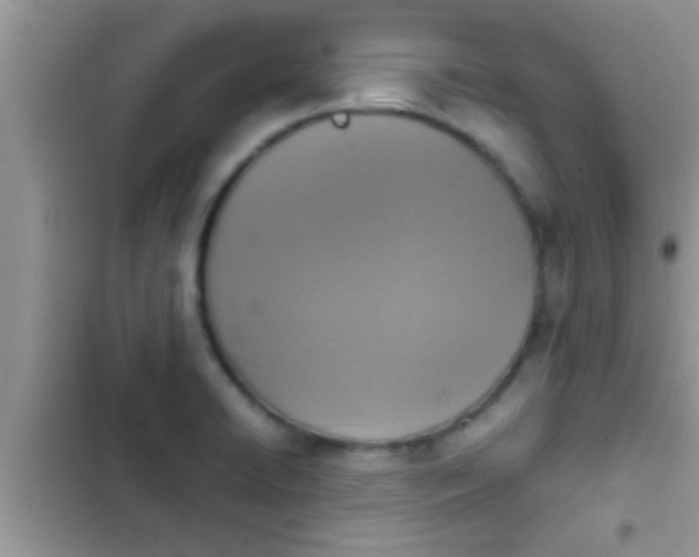 X0000102391422200808151910