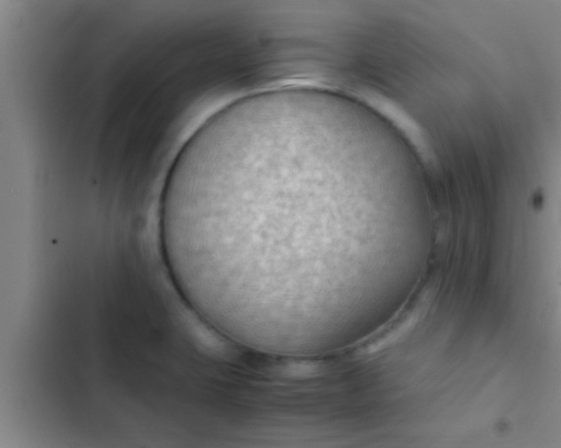 X0000102391423200808151910