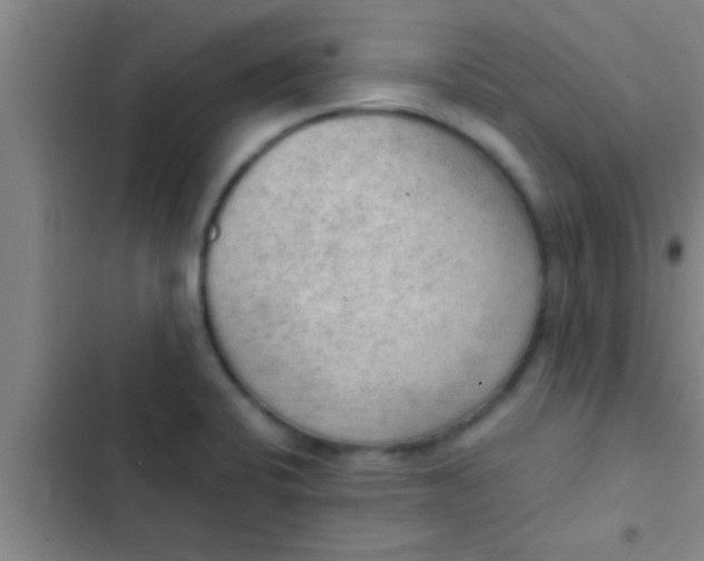 X0000102391424200808151910