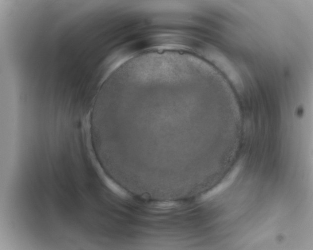 X0000102391425200808151910