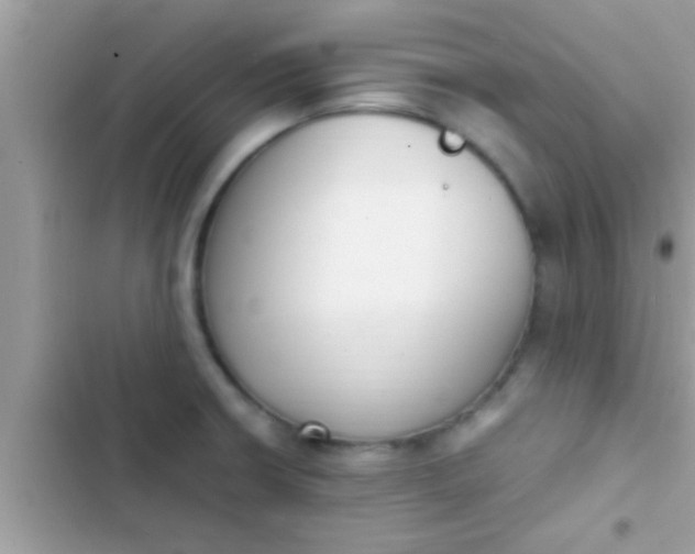 X0000102391426200808151910