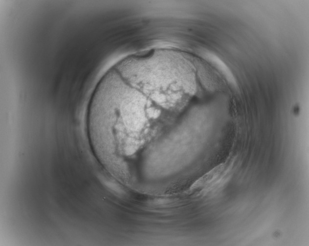 X0000102391427200808151910