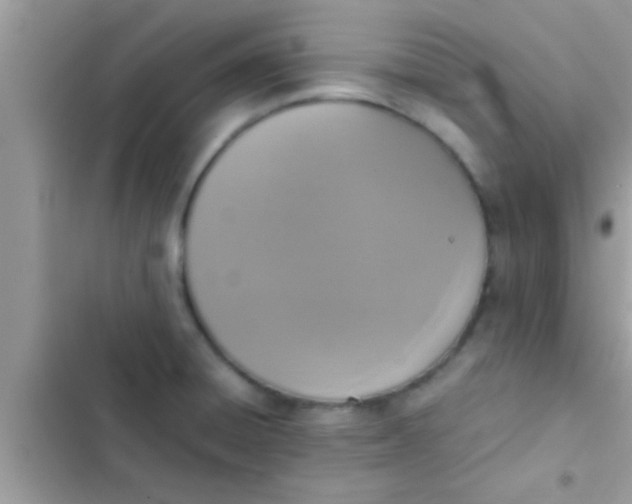 X0000102391428200808151910