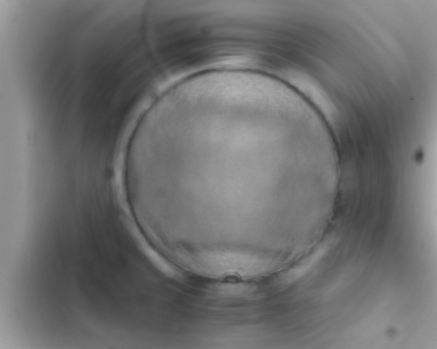 X0000102391429200808151910