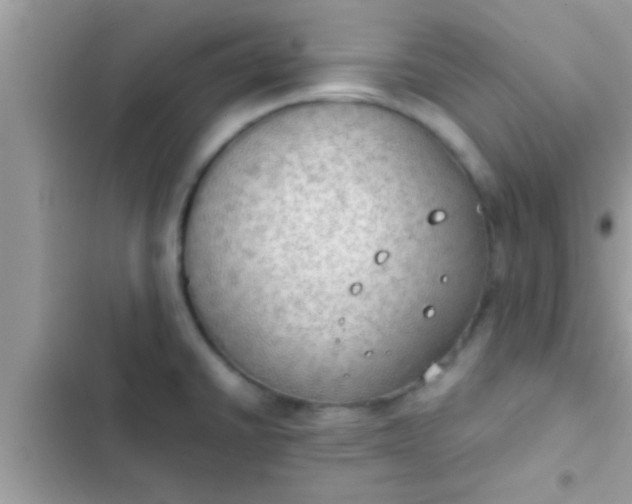 X0000102391430200808151910