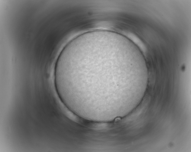 X0000102391431200808151910