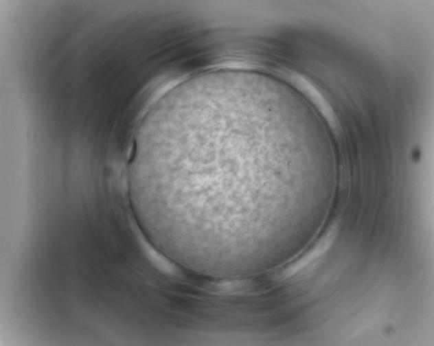 X0000102391433200808151910