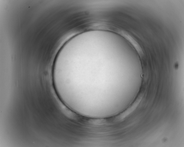 X0000102391434200808151910