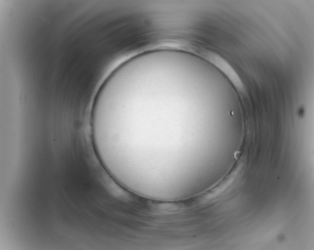 X0000102391436200808151910