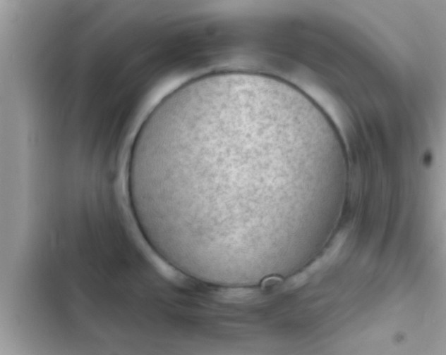 X0000102391437200808151910