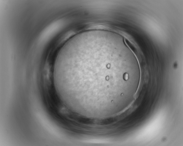 X0000102391438200808151910