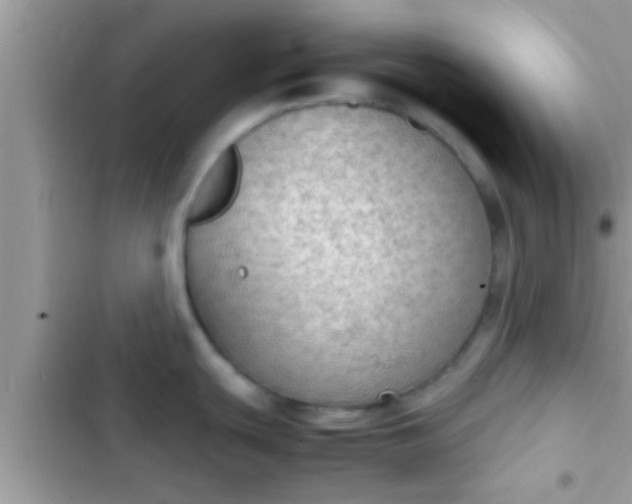 X0000102391439200808151910