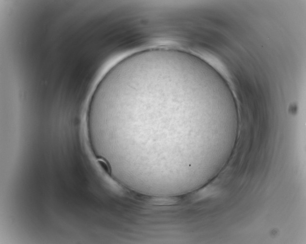 X0000102391440200808151910