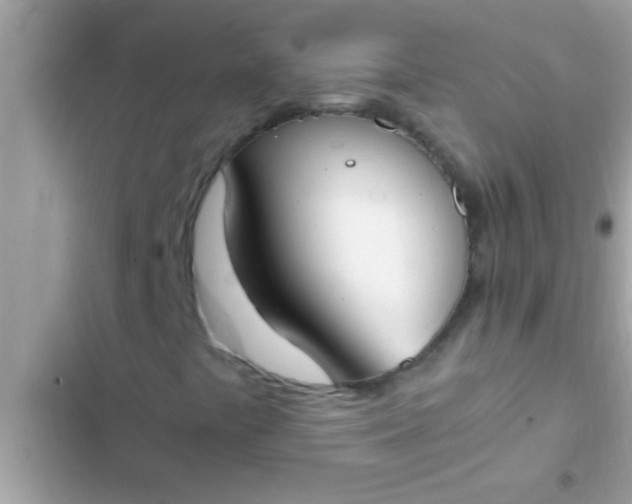 X0000102391441200808151910