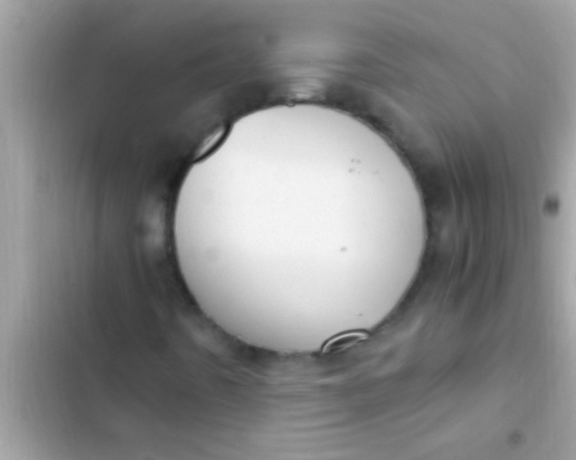 X0000102391442200808151910