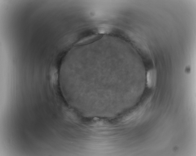 X0000102391443200808151910