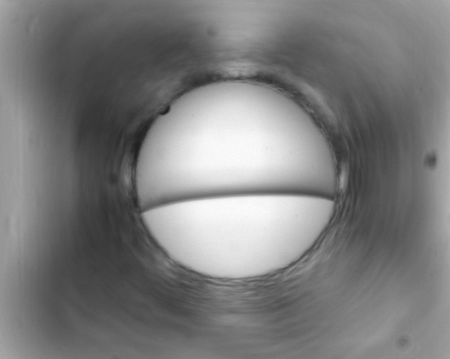 X0000102391444200808151909