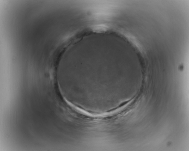 X0000102391445200808151909