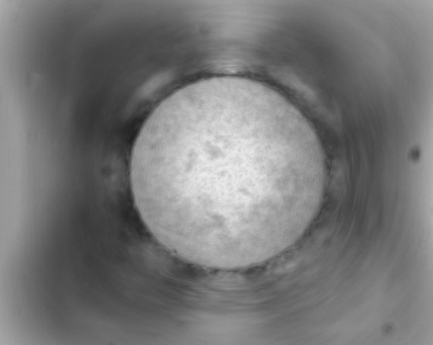 X0000102391446200808151909