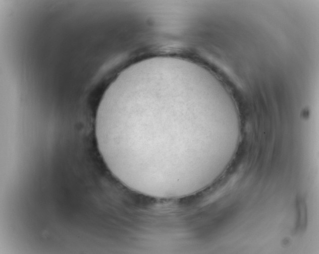 X0000102391447200808151909