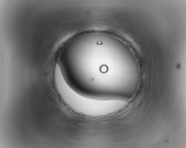 X0000102391448200808151909