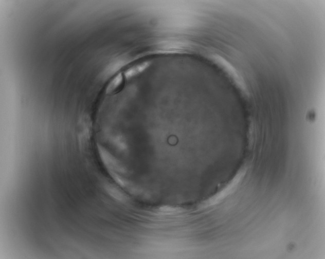 X0000102391449200808151909