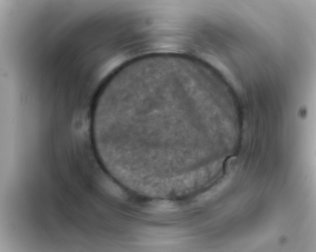 X0000102391450200808151909