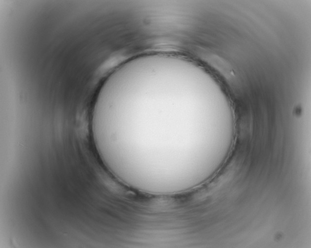 X0000102391451200808151909