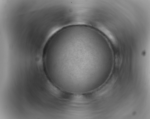 X0000102391452200808151909