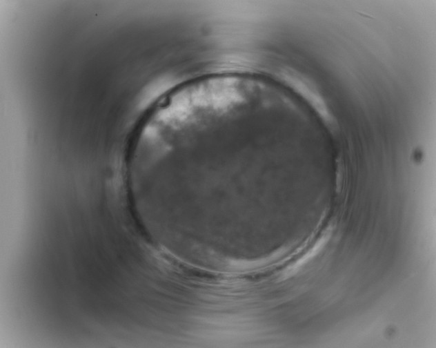 X0000102391453200808151909