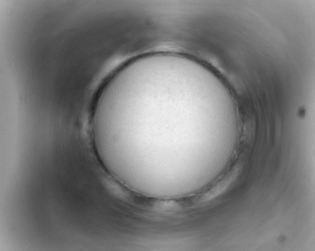 X0000102391454200808151909