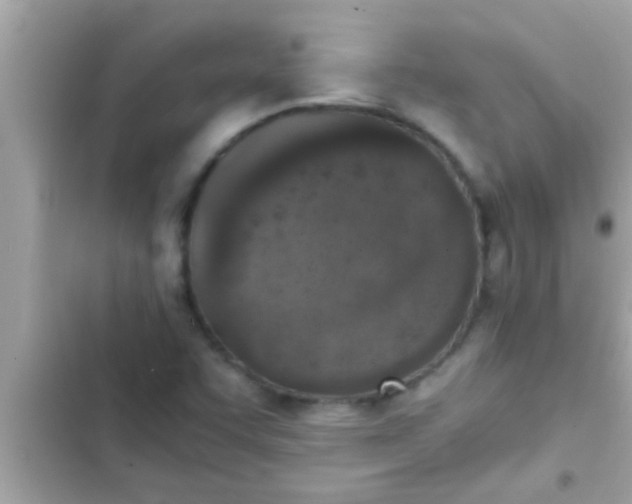 X0000102391455200808151909