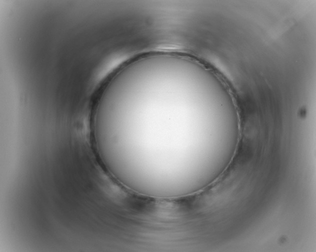 X0000102391456200808151909