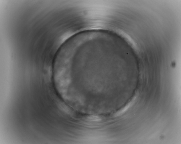 X0000102391457200808151909