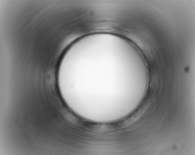 X0000102391458200808151909