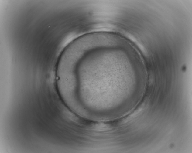 X0000102391459200808151909